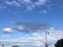 -北京稻香村(大都专卖店)