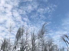 -同济大学(嘉定校区)