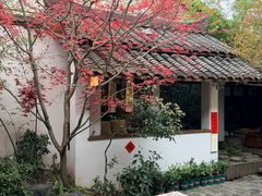 -古今茶语·峨眉山有机茶体验馆