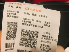 -大地影院(雅安灯塔魅力印象店)