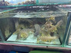 -班赞海鲜市场