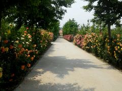 -意大利农场度假村