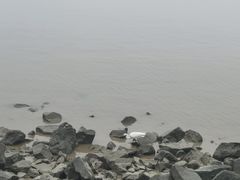 -深圳湾公园(南山区)