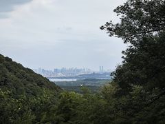 -韬光茶庵