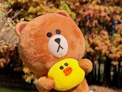 -厦门园林博览苑
