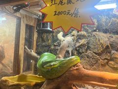 -姑苏二十四集(iD PARK 歌林公园店)