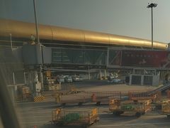 -合肥新桥国际机场-航站楼