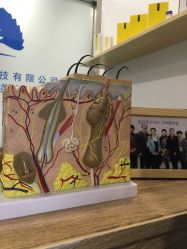 -博乐达水杨酸祛痘皮肤管理中心