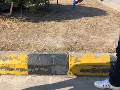 -胜华驾校·小猫学车(银都店)
