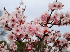 -钟山体育运动公园