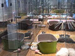 -G+KITCHEN(龙湖狮山天街店)