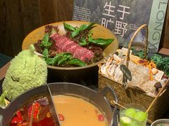 -大龙燚·旷野鲜火锅(广州首店)