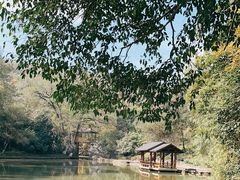 -善卷洞风景区