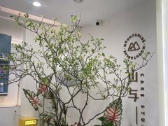 -山与蓝·轻糖鲜果蛋糕(勒泰店)
