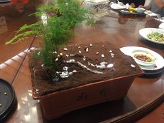 明仕涧水绕竹流-明仕田园酒店