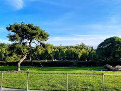 -新荣记(新源南路店)