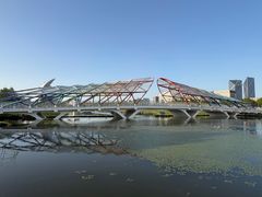 -南汇新城城市公园