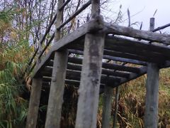 -泗洪洪泽湖湿地景区