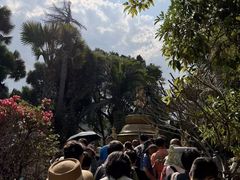 -西双版纳总佛寺