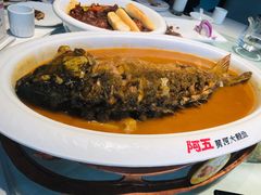 红烧黄河鲤鱼-阿五黄河大鲤鱼(纬三路店)