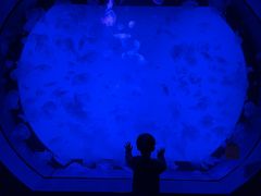 -沈阳海洋探索中心