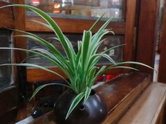 -丽江庭院·云南野生菌·海鲜火锅(鼓楼四合院店)