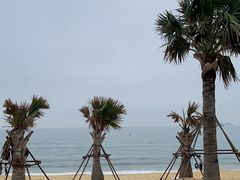 -大梅沙海滨公园