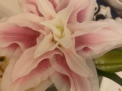 -眉州东坡(亚运村店)
