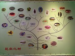 -上海昆虫博物馆