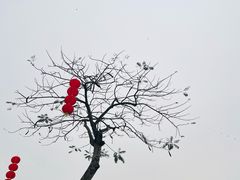 -海心沙亚运公园
