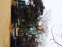 iphone_upload_pic-八大关景区