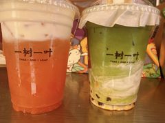 -一树一叶·福建茶档(石鼓路店)