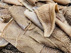 -龙福成肥牛火锅(文昌店)