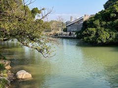 -江心屿景区