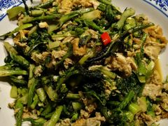 -张氏鱼庄