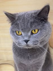 -苗医生草本科技祛痘