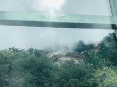 -陕西省红河谷森林公园