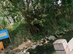 -五缘湾湿地公园