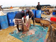 -尼甘布海鲜市场