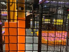 -Tenker Club弹刻极限主题公园 · 蹦床 · 团建 · 生日派对(大关店)