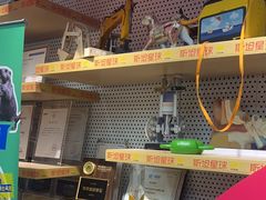 -斯坦星球AI编程·机器人科创·乐高科学·信奥·思维·专注力·STEM·竞赛考级(高新区绿宝广场龙湖狮山天街学习中心)