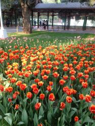 -北京嘉里大酒店·宴会厅婚宴·户外婚礼·生日宴