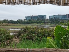 -华侨城湿地公园