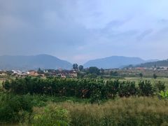 -福建土楼（华安）旅游区•大地土楼群