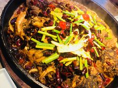 -老板恋上鱼(恒隆广场店)