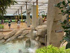 -南宫五洲植物乐园