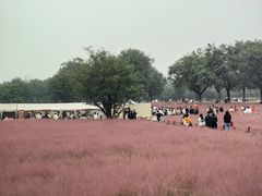 -汉长安城未央宫国家考古遗址公园