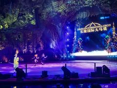 -广州长隆国际大马戏