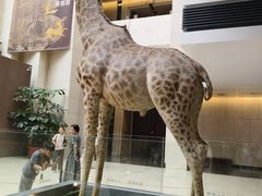 -深圳博物馆历史民俗馆