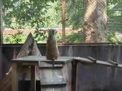 -深圳野生动物园
